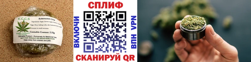 Canna-Cookies марихуана  Вязники 