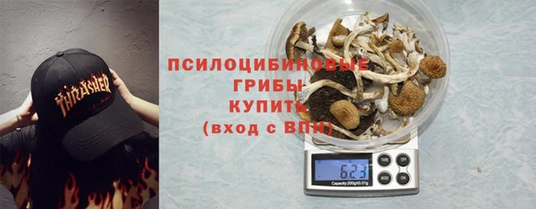 Альфа ПВП Беломорск