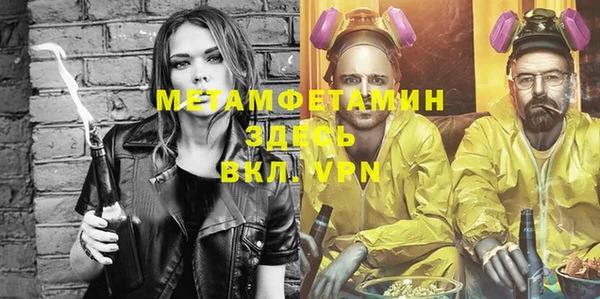 молекула духа Богданович