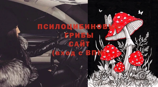 альфа пвп Белокуриха