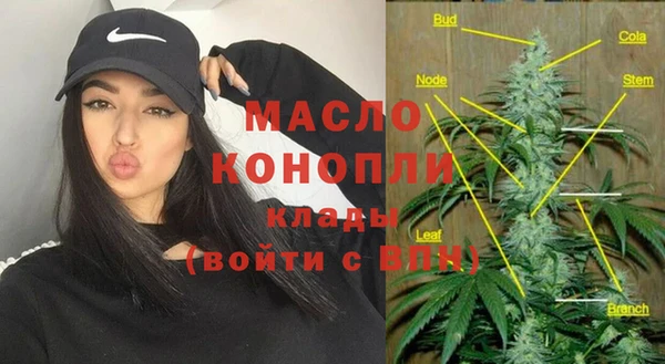 дживик Богородицк