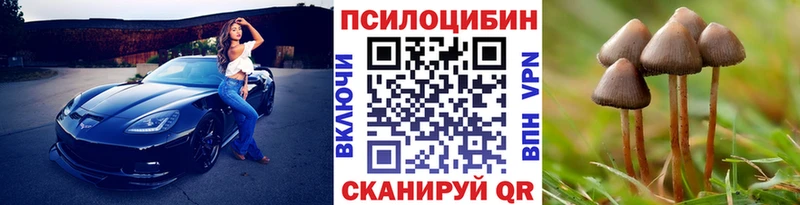 Псилоцибиновые грибы мухоморы Вязники